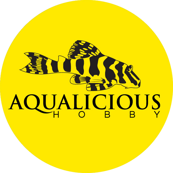 Aqualicious Hobby